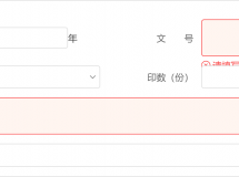 v10 输入框校验为啥会这样