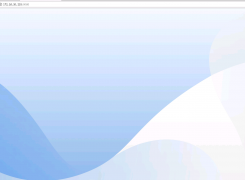 服务器初始化无法弹出登录界面，只有背景图