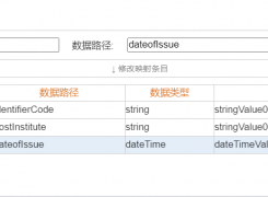 数据映射string类型长度限制问题