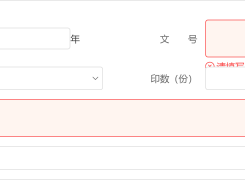 v10 输入框校验为啥会这样